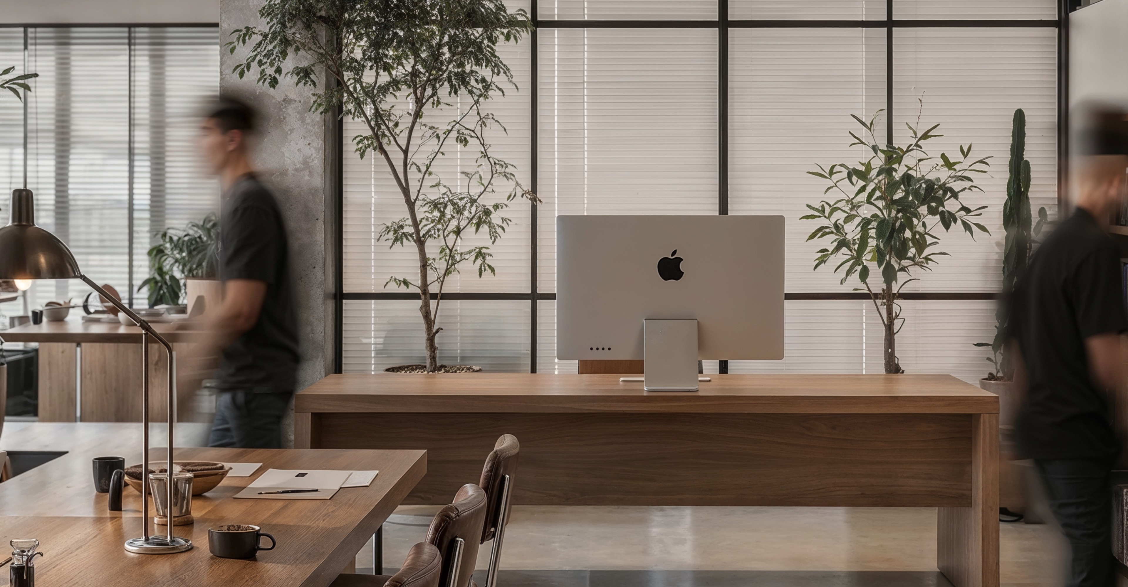 STED office